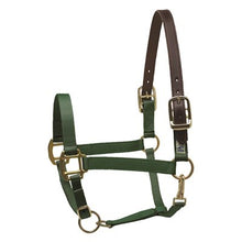 Load image into Gallery viewer, Draft Safety Halter
