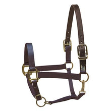Load image into Gallery viewer, Safety Halter PONY