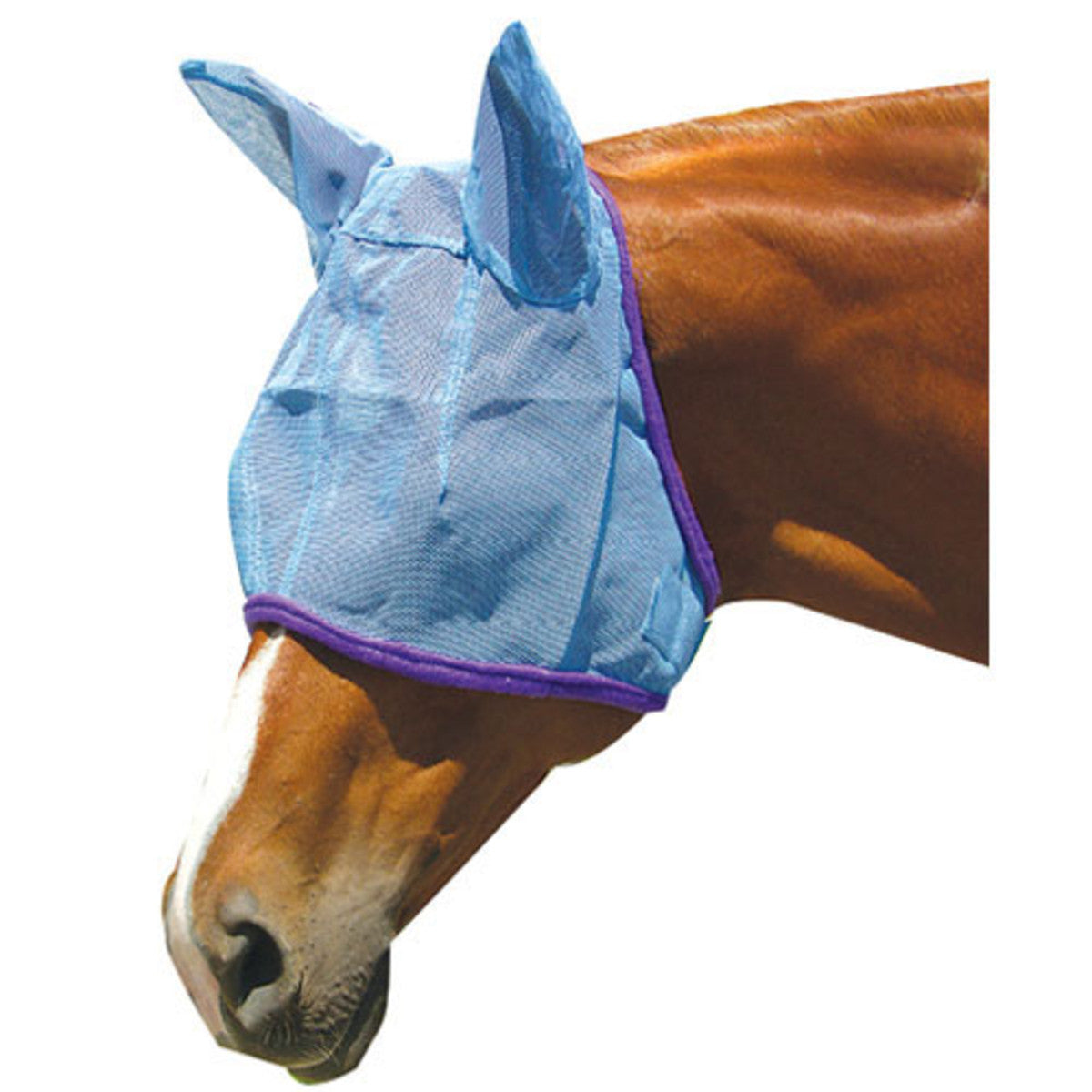 364 Intrepid International Fly Masks