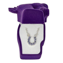 Load image into Gallery viewer, Horseshoe Crystal Rhinestone Necklace