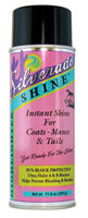 Silverado Shine Instant Shine