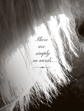 Load image into Gallery viewer, SOLDOUTHorse Sympathy Card: NEW There are no words...
