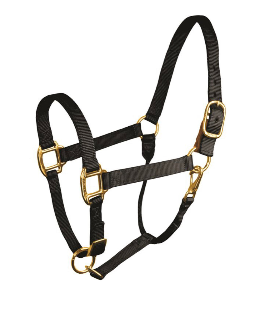 216 Nylon Stock Halter