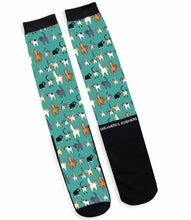 Load image into Gallery viewer, XDOUBLEDreamers & Schemers Socks
