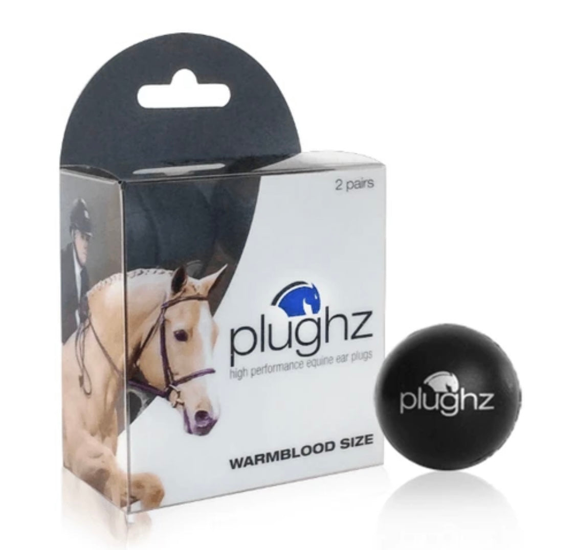 🎁Plughz Ear Plugs 2 Pair