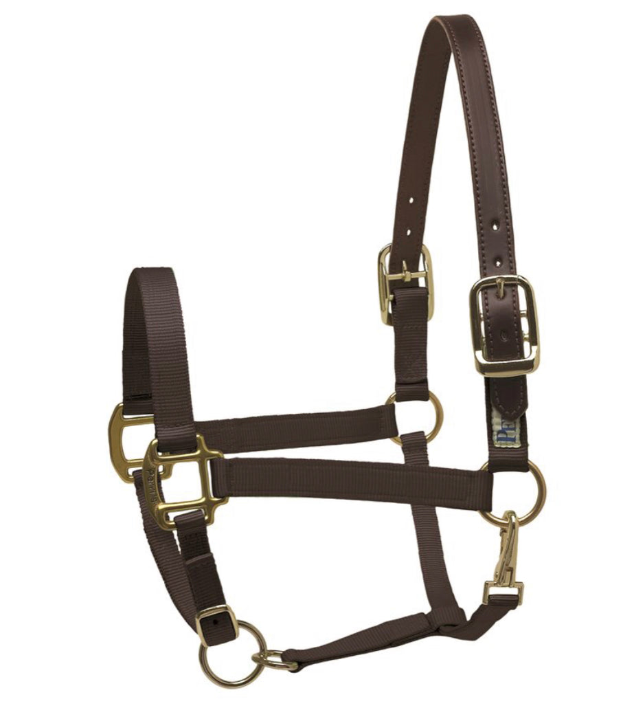 217 Nylon Safety Halter