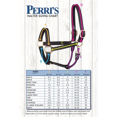 765 Premium Show Leather Halter