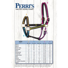 Load image into Gallery viewer, 765 Premium Show Leather Halter