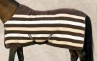 940 Whitney Cooler Brown Stripe