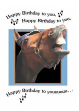 Load image into Gallery viewer, Horse Birthday Card: Happy Birthday to You, Happy Birthday