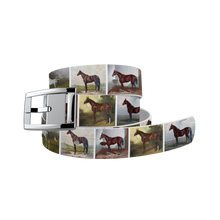 Load image into Gallery viewer, C4 Belts