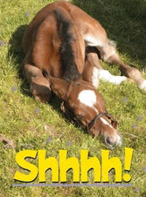 Load image into Gallery viewer, Horse Birthday Card: Shhhh!!! (relax Chill.)