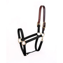 Load image into Gallery viewer, 860 Economy Halter Safety