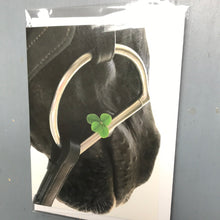Load image into Gallery viewer, XDOUBLE831 Greeting Cards