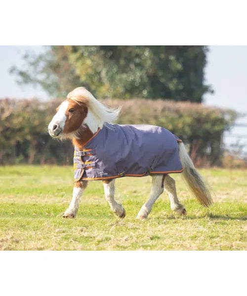 748 Mini Highlander Blanket