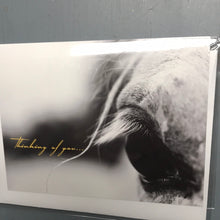 Load image into Gallery viewer, XDOUBLE831 Greeting Cards