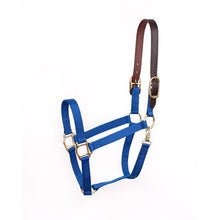 Load image into Gallery viewer, 860 Economy Halter Safety