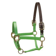 Load image into Gallery viewer, Safety Halter COB