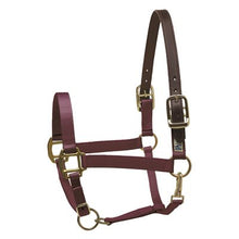 Load image into Gallery viewer, Safety Halter COB