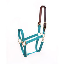 Load image into Gallery viewer, 860 Economy Halter Safety