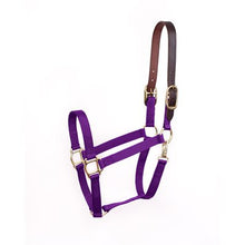 Load image into Gallery viewer, 860 Economy Halter Safety