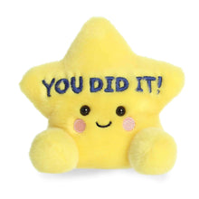 Load image into Gallery viewer, 5" Plush You Did It Star Palm Pal
