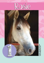 Load image into Gallery viewer, Horse Card Game: Go Graze Card Game

