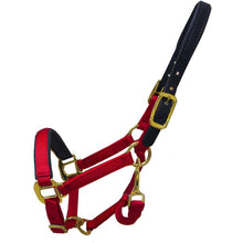 Load image into Gallery viewer, Premium Padded Nylon Breakaway Halter
