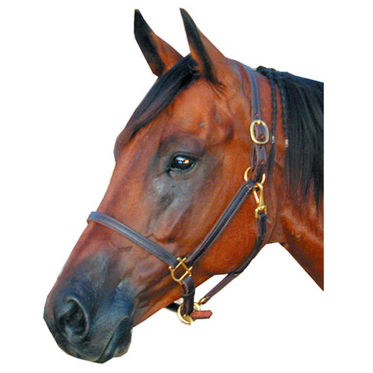 3/4" Latigo Lined Halter