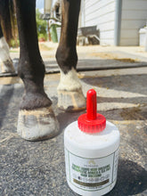 Load image into Gallery viewer, Equine Liquid Hoof Dressing  Arnica &amp; Tea Tree  32 oz
