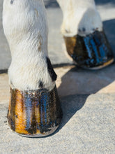 Load image into Gallery viewer, Horse Hoof PASTE &amp; brush applicator 16 oz
