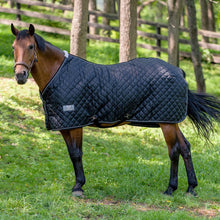 Load image into Gallery viewer, TuffRider Kozy Komfort Two Stable Blanket-420 D 200 GSM of fill

