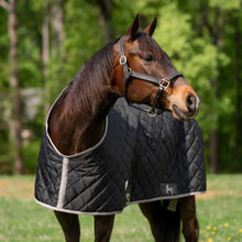 Load image into Gallery viewer, TuffRider Shelter Closed Front Medium Weight Stable Blanket
