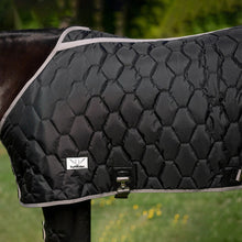 Load image into Gallery viewer, TuffRider Shelter Closed Front HeavyWeight Stable Blanket
