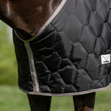 Load image into Gallery viewer, TuffRider Shelter Closed Front HeavyWeight Stable Blanket
