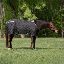 Load image into Gallery viewer, TuffRider Shelter Closed Front HeavyWeight Stable Blanket
