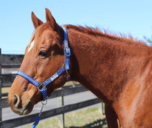 Load image into Gallery viewer, TuffRider Nylon Breakaway Halter &amp; Lead Rope Set
