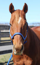Load image into Gallery viewer, TuffRider Nylon Breakaway Halter &amp; Lead Rope Set
