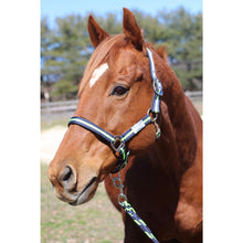 Load image into Gallery viewer, TuffRider Nylon Breakaway Halter &amp; Lead Rope Set
