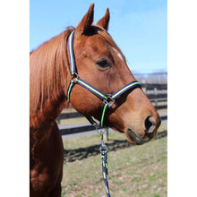 Load image into Gallery viewer, TuffRider Nylon Breakaway Halter &amp; Lead Rope Set
