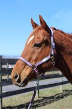 Load image into Gallery viewer, TuffRider Nylon Breakaway Halter &amp; Lead Rope Set
