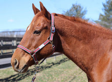 Load image into Gallery viewer, TuffRider Nylon Breakaway Halter &amp; Lead Rope Set
