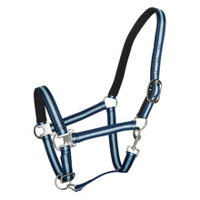Load image into Gallery viewer, TuffRider Adjustable Nylon Breakaway Halter w/ Padded Crown and Nickel Hardware
