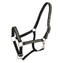 Load image into Gallery viewer, TuffRider Adjustable Nylon Breakaway Halter w/ Padded Crown and Nickel Hardware
