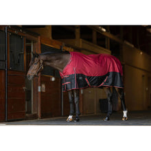 Load image into Gallery viewer, TuffRider Comfy Fit 1200 D RipStop Waterproof/Breathable  Comfy Winter Turnout Blanket Medium Weight 200 GSM Standard Neck W/Adjustable Neck
