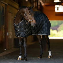 Load image into Gallery viewer, TuffRider Kozy Komfort Stable Blanket With Diamond Quilting -420 D 200 GSM of fill
