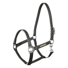 Load image into Gallery viewer, TuffRider EasyCare EquiLeather Break Away Halter

