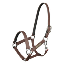 Load image into Gallery viewer, TuffRider EasyCare EquiLeather Break Away Halter
