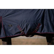 Load image into Gallery viewer, TuffRider 600 D Ripstop Standard Neck Light Weight Turnout Blanket with 100 GSM Fill
