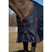 Load image into Gallery viewer, TuffRider 600 D Ripstop Standard Neck Light Weight Turnout Blanket with 100 GSM Fill
